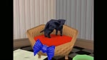 Rating: s
ID: 1878
Date: 2025-01-27 18:04:54 -0500
Status: active
Score: 0
2019 audio huge_filesize long_playtime tagme video vinesauce webm post #1878