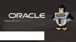 Rating: s
ID: 5654
Date: 2025-05-17 09:35:44 -0400
Status: active
Score: 0
2023 audio hi_res long_playtime oraclelearning tagme video post #5654